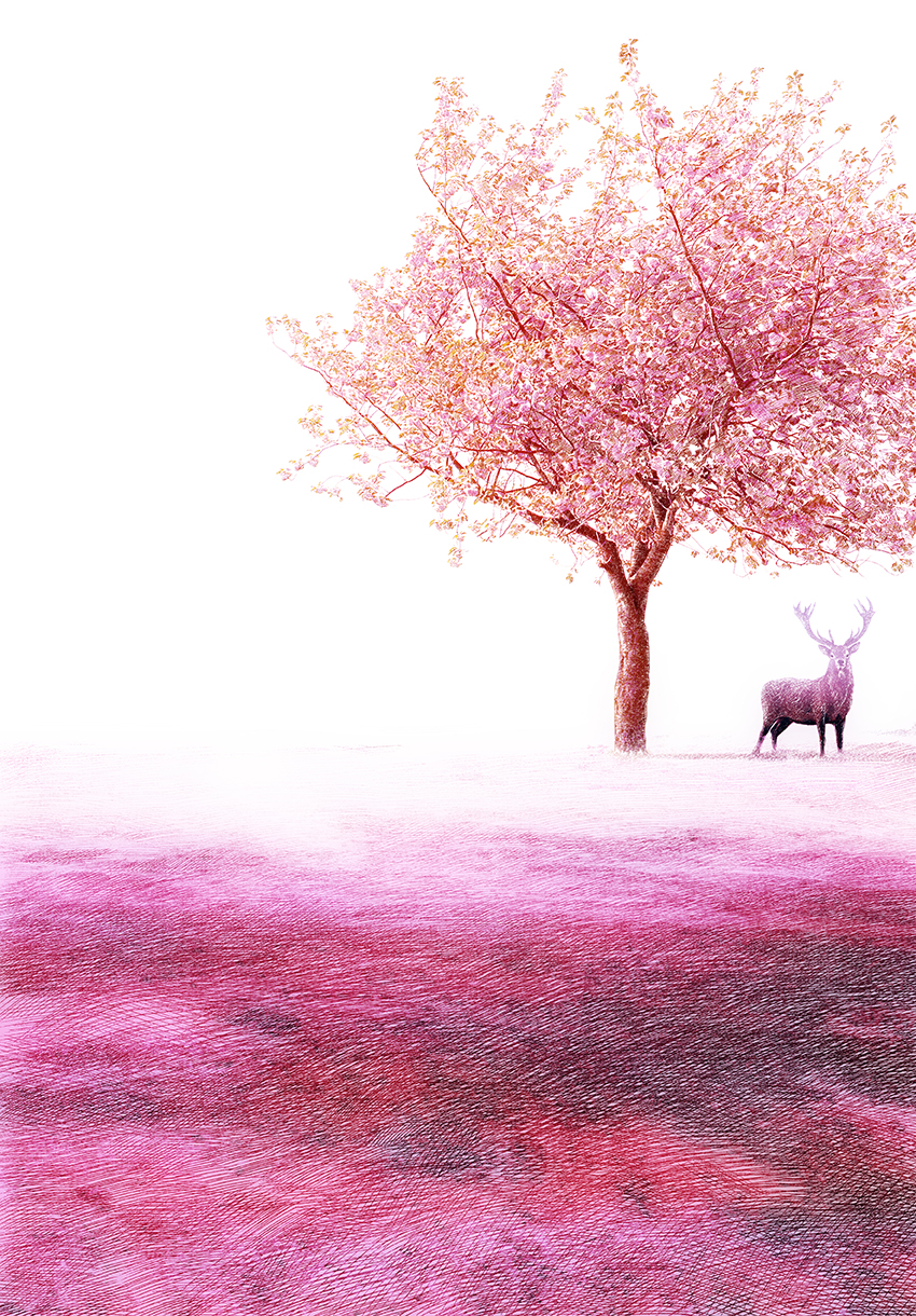 scztxwd2的个人主页（背景预览） - 主页背景设置 - 站酷设计师scztxwd2原创素材 - 站酷ZCOOL