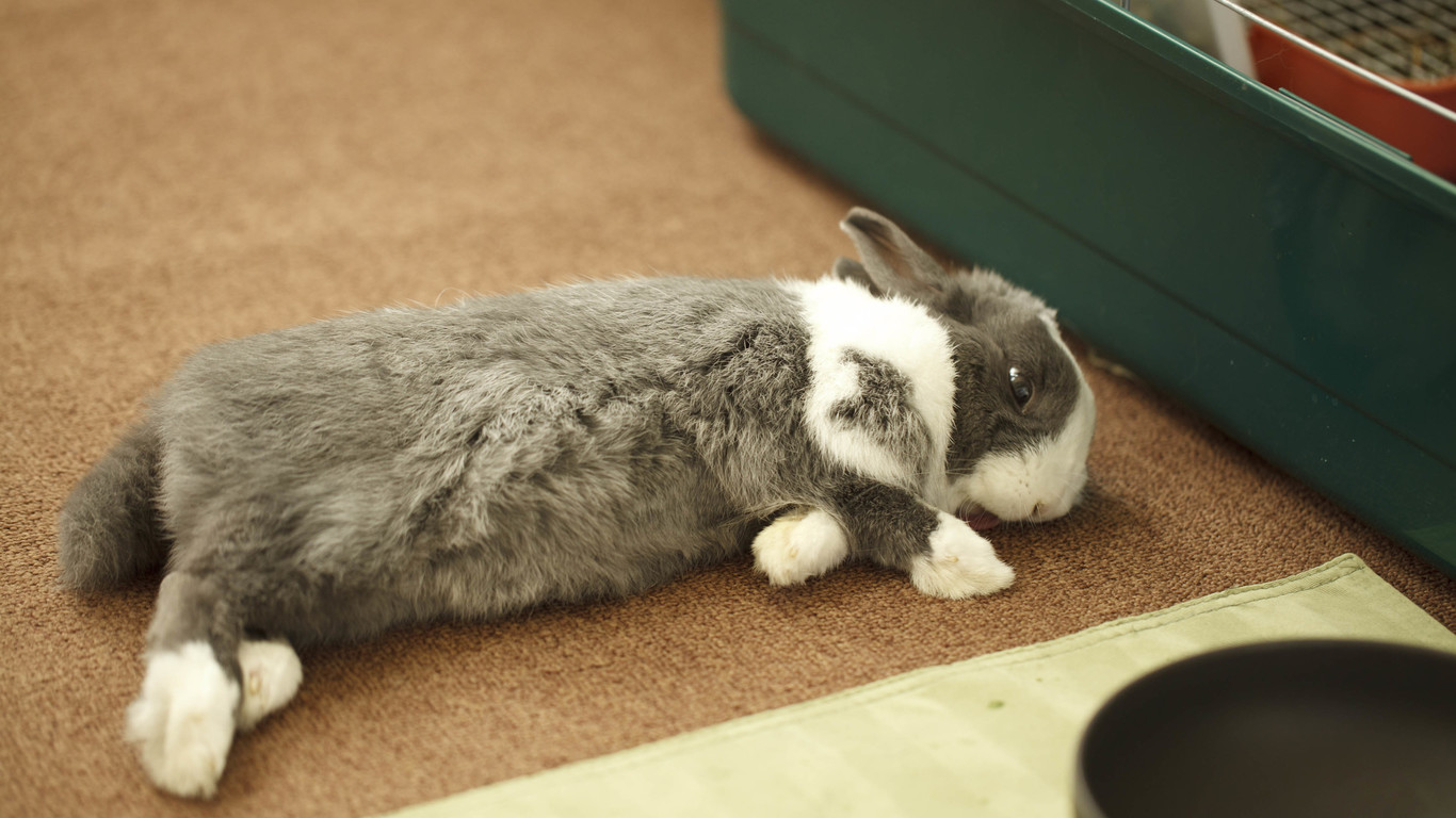 风立的个人主页（背景预览） - 主页背景设置 - 站酷设计师风立原创素材 - 站酷ZCOOL