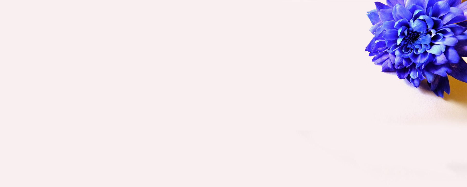 卡卡吖吖的個(gè)人主頁（背景預(yù)覽） - 主頁背景設(shè)置 - 站酷設(shè)計(jì)師卡卡吖吖原創(chuàng)素材 - 站酷ZCOOL