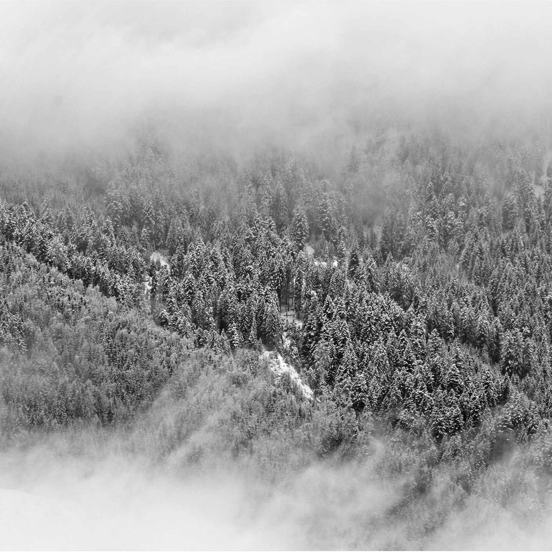 哲也LYC的个人主页（背景预览） - 主页背景设置 - 站酷设计师哲也LYC原创素材 - 站酷ZCOOL