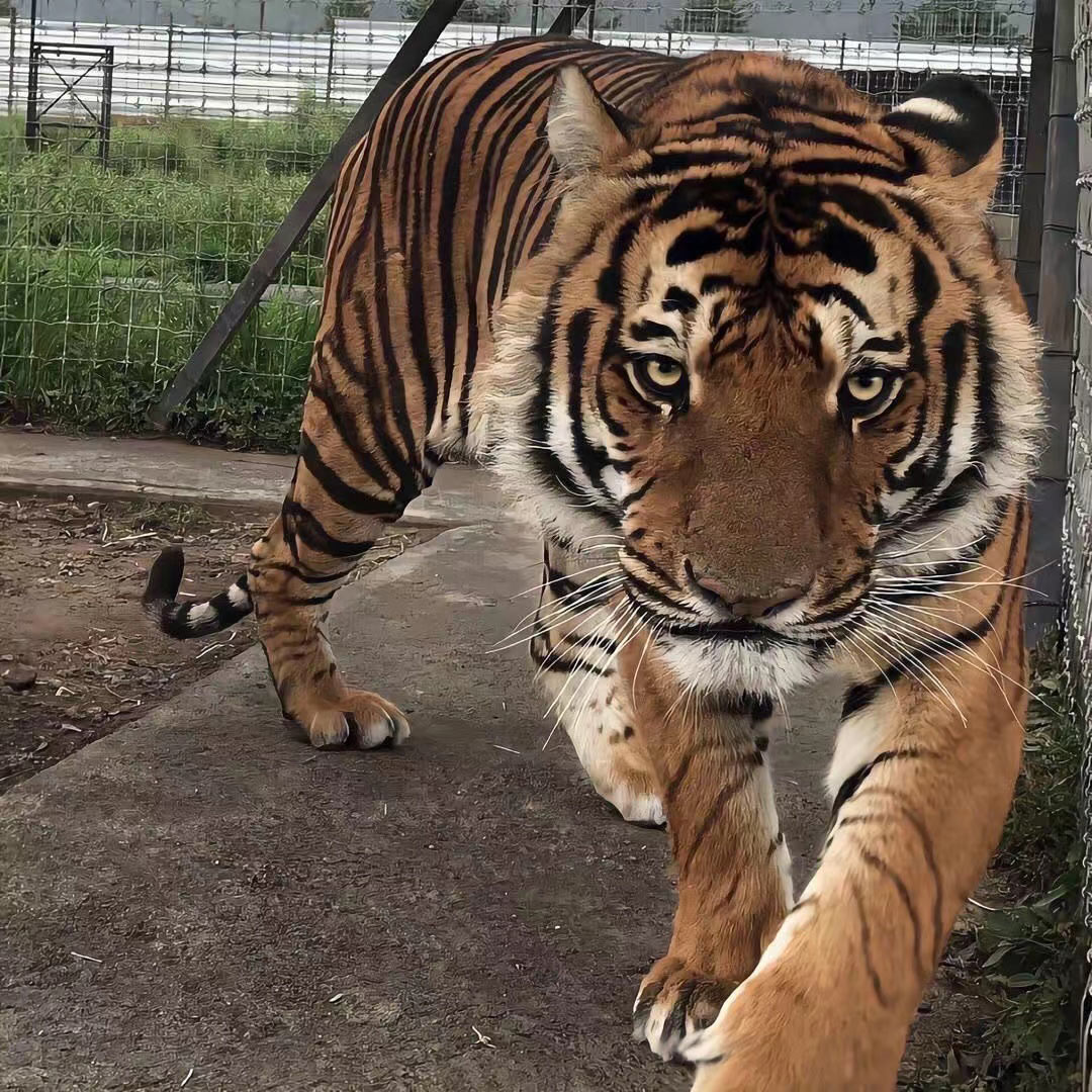 想把妳灌醉的個(gè)人主頁（背景預(yù)覽） - 主頁背景設(shè)置 - 站酷設(shè)計(jì)師想把妳灌醉原創(chuàng)素材 - 站酷ZCOOL