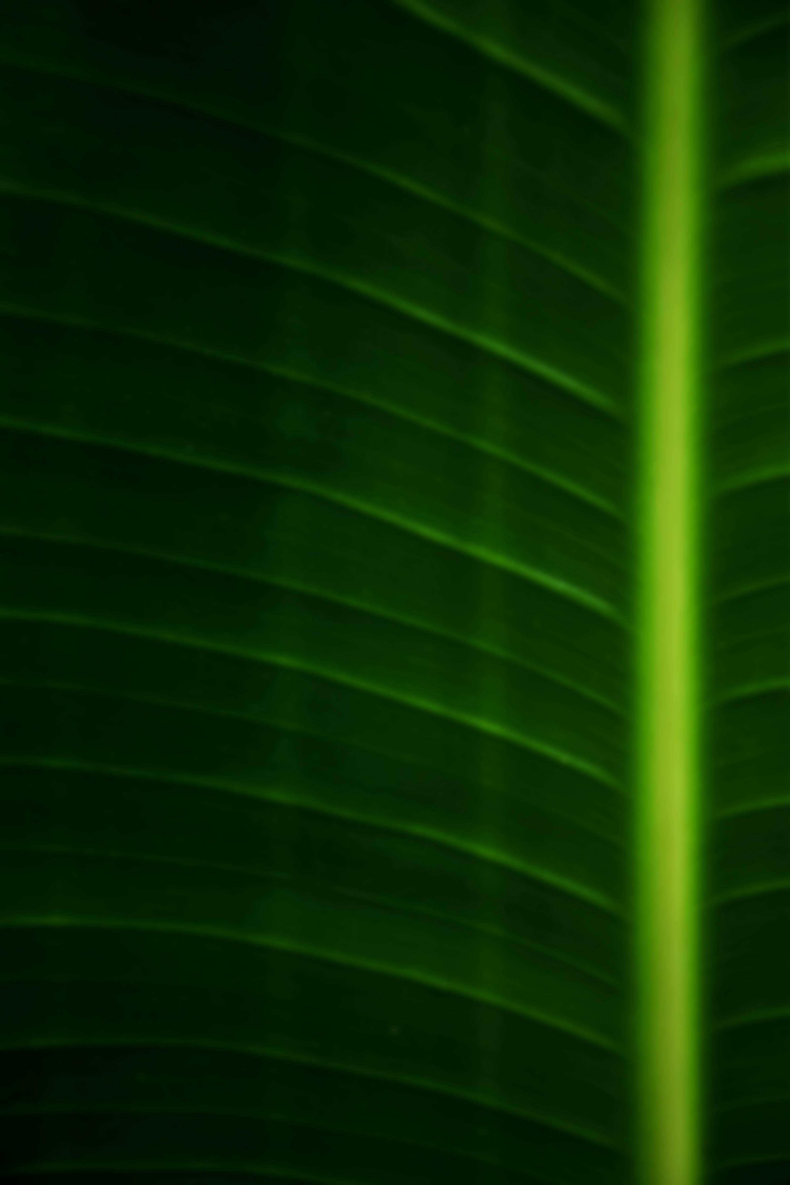 tututl的个人主页（背景预览） - 主页背景设置 - 站酷设计师tututl原创素材 - 站酷ZCOOL