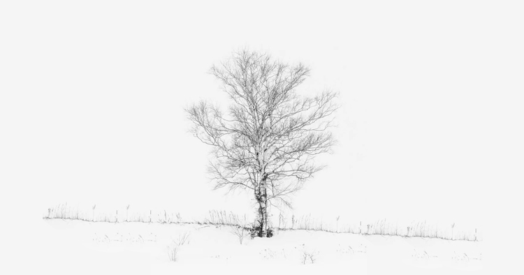 L1mbo丶阿木的个人主页（背景预览） - 主页背景设置 - 站酷设计师L1mbo丶阿木原创素材 - 站酷ZCOOL