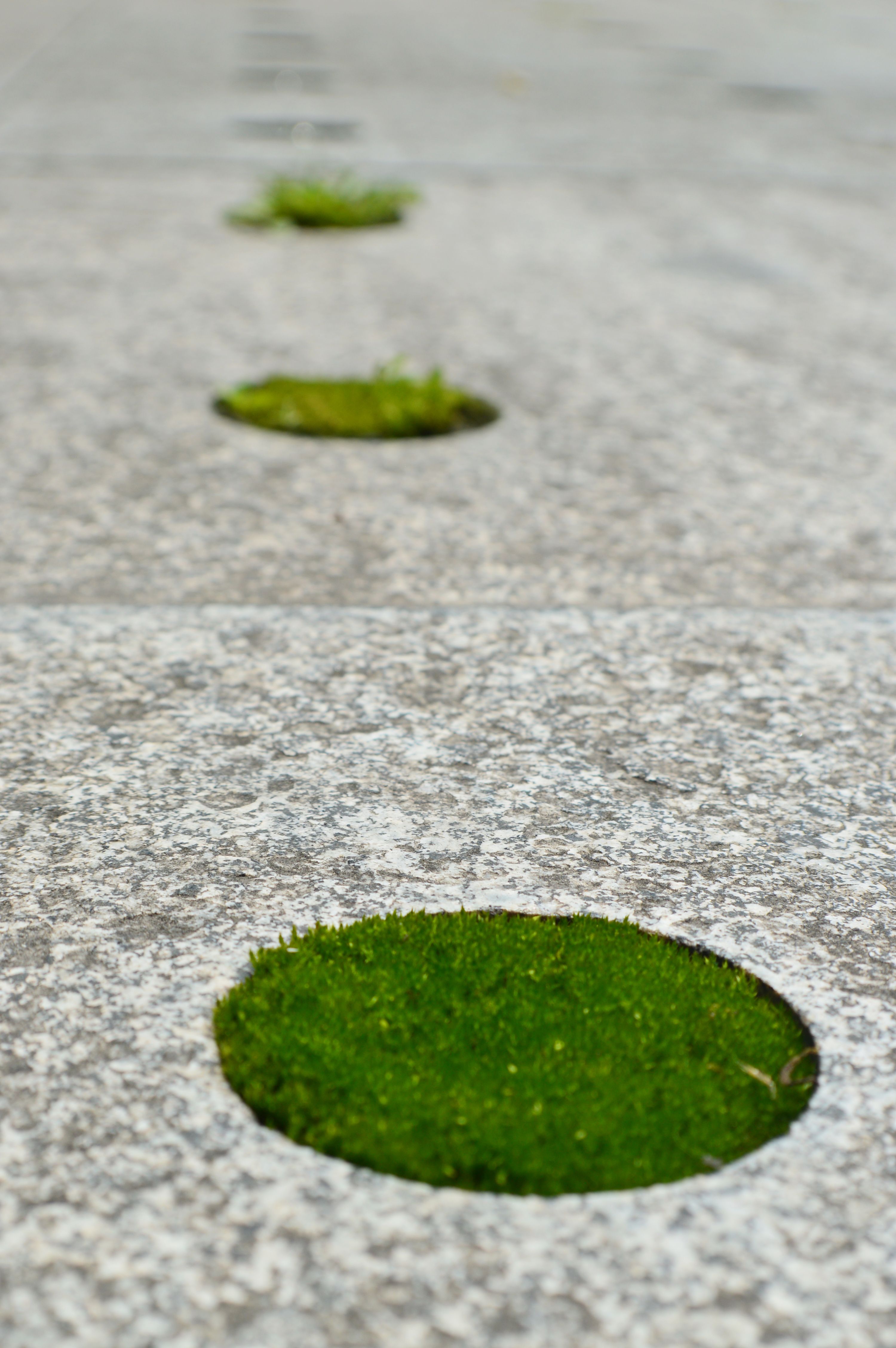 木易十三香的个人主页（背景预览） - 主页背景设置 - 站酷设计师木易十三香原创素材 - 站酷ZCOOL