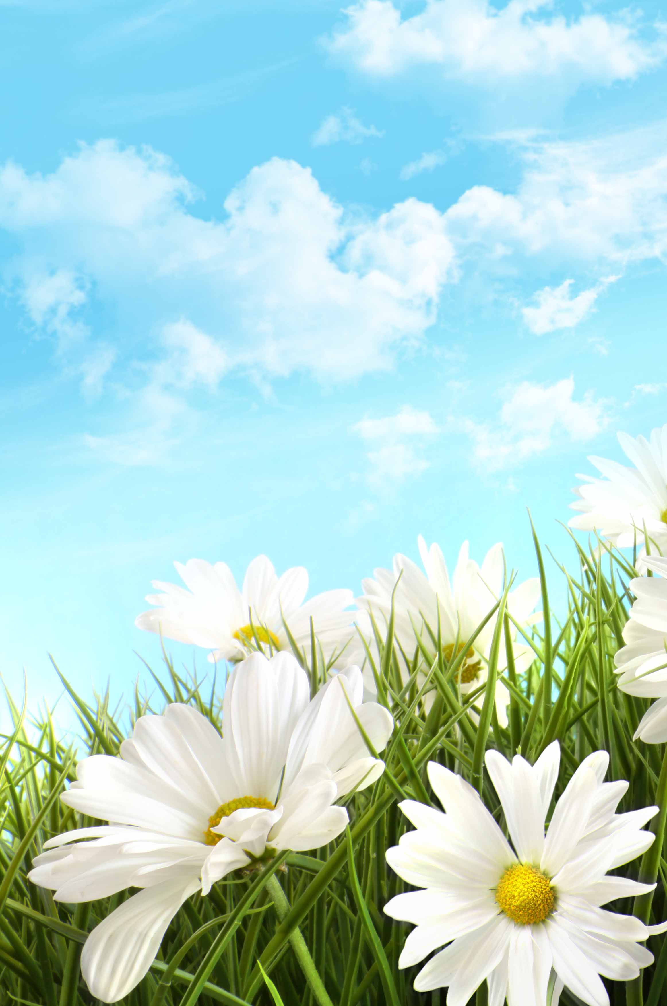 dodamanda的個人主頁（背景預(yù)覽） - 主頁背景設(shè)置 - 站酷設(shè)計師dodamanda原創(chuàng)素材 - 站酷ZCOOL