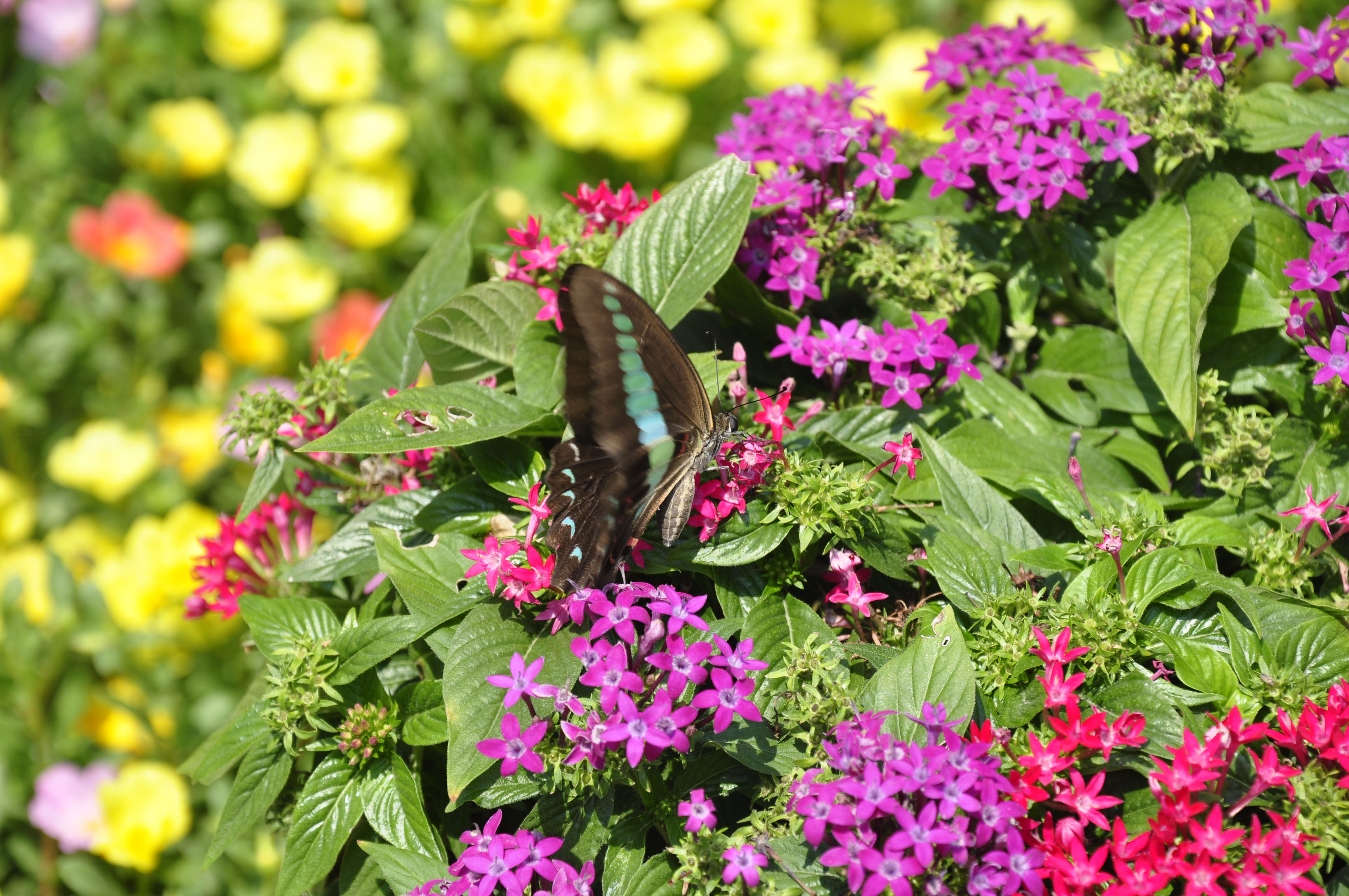 Leedissa的个人主页（背景预览） - 主页背景设置 - 站酷设计师Leedissa原创素材 - 站酷ZCOOL