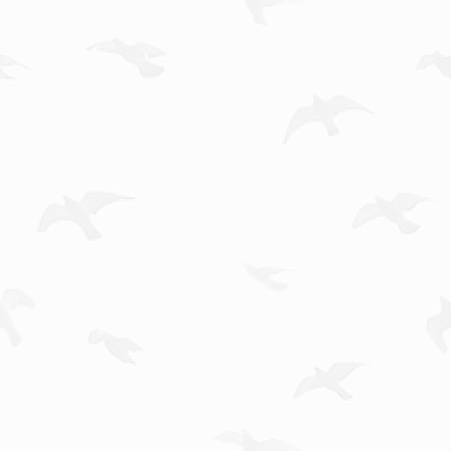 xmosix的个人主页（背景预览） - 主页背景设置 - 站酷设计师xmosix原创素材 - 站酷ZCOOL