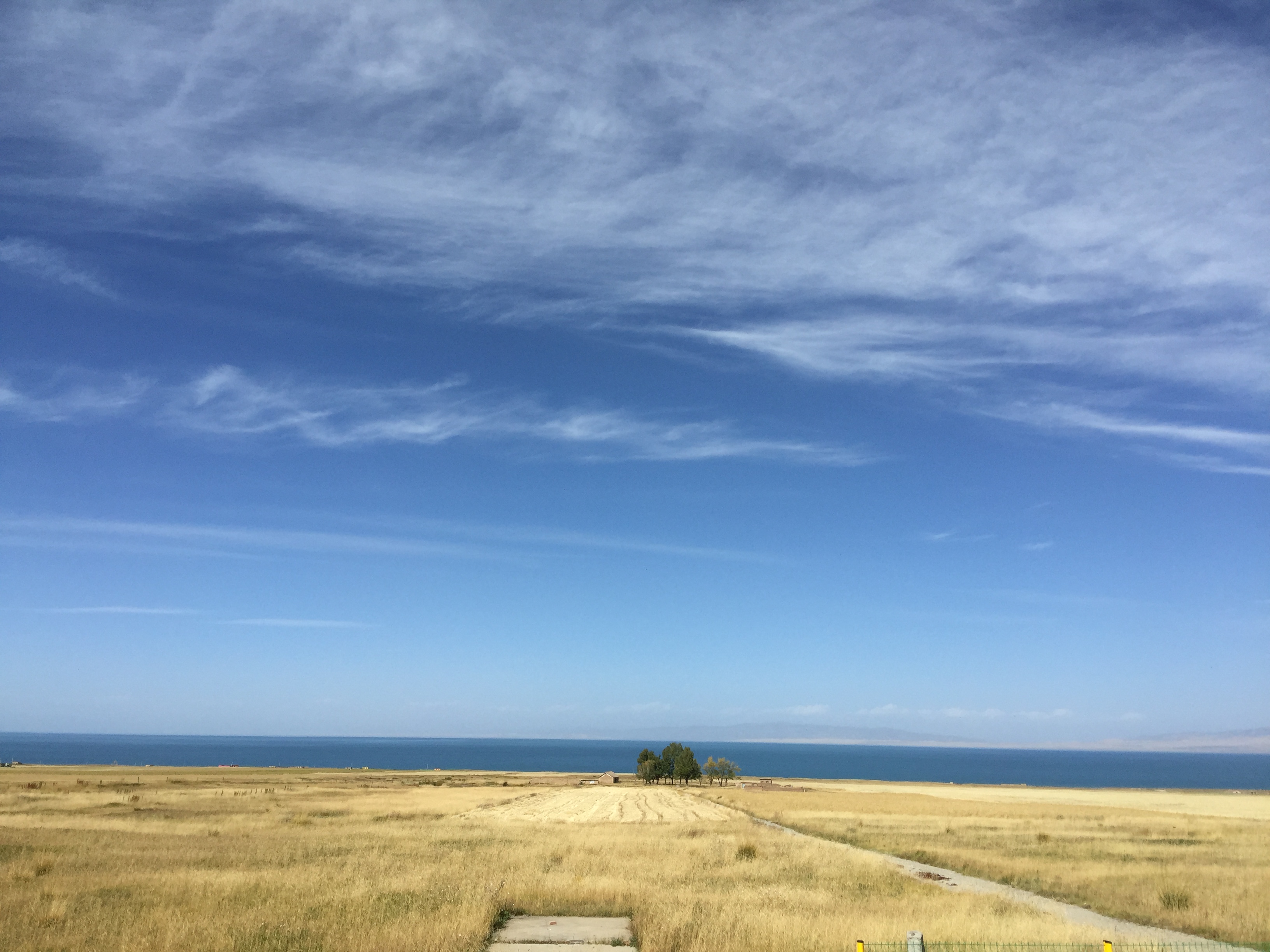 蘇打迪迪的個(gè)人主頁(yè)（背景預(yù)覽） - 主頁(yè)背景設(shè)置 - 站酷設(shè)計(jì)師蘇打迪迪原創(chuàng)素材 - 站酷ZCOOL