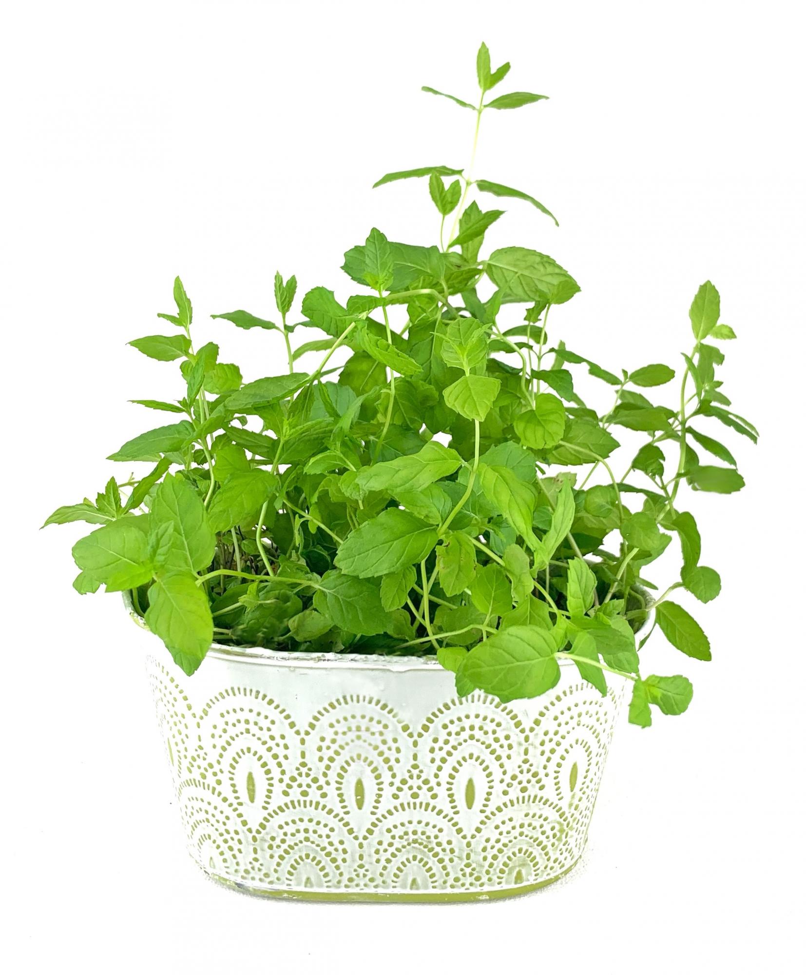 宀埰君的个人主页（背景预览） - 主页背景设置 - 站酷设计师宀埰君原创素材 - 站酷ZCOOL