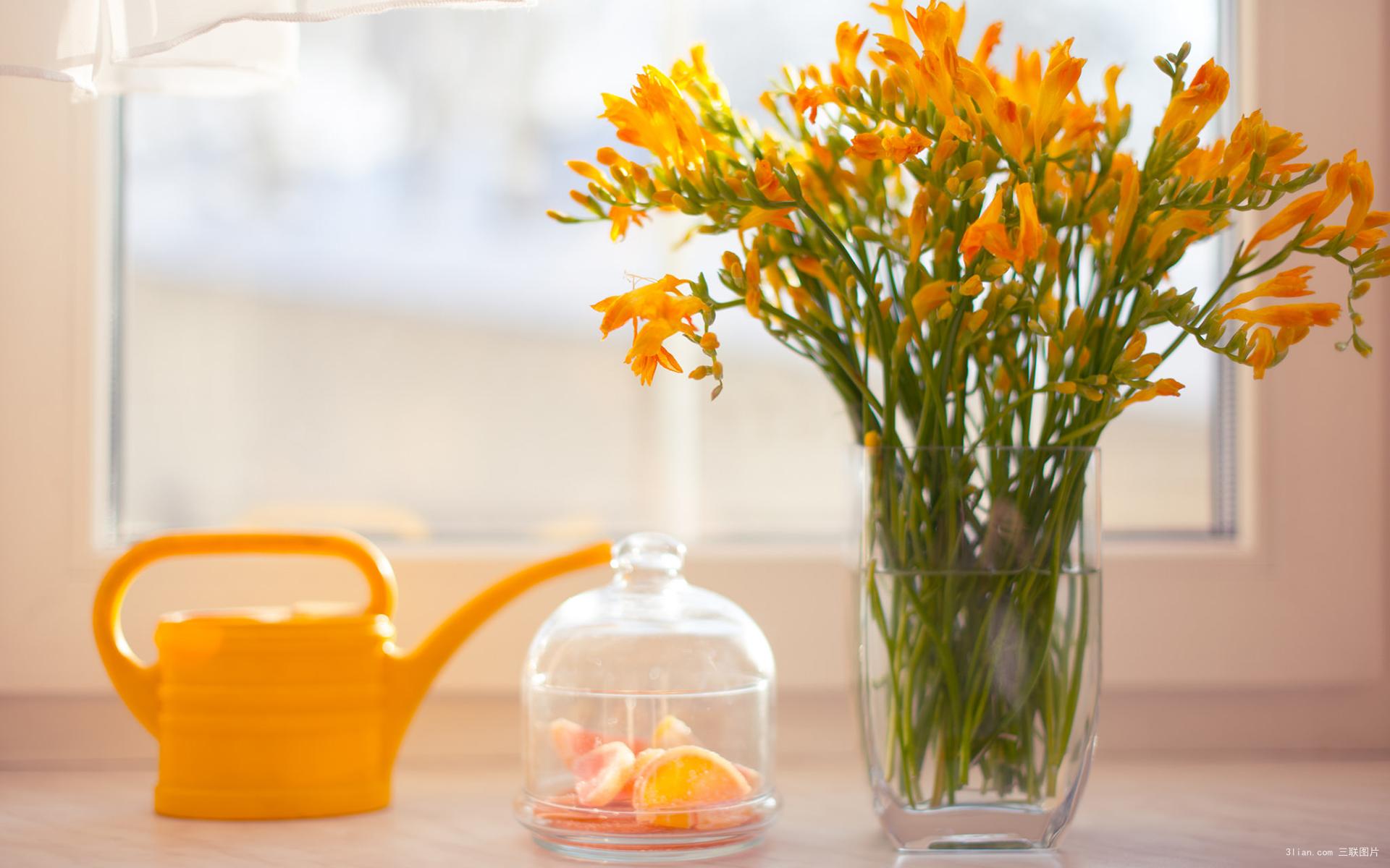 L洛洛希的個(gè)人主頁(yè)（背景預(yù)覽） - 主頁(yè)背景設(shè)置 - 站酷設(shè)計(jì)師L洛洛希原創(chuàng)素材 - 站酷ZCOOL