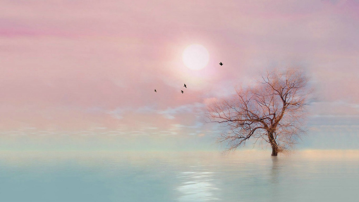 大眼睛2012的個人主頁（背景預(yù)覽） - 主頁背景設(shè)置 - 站酷設(shè)計師大眼睛2012原創(chuàng)素材 - 站酷ZCOOL