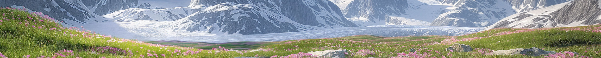 ZOCI的个人主页（背景预览） - 主页背景设置 - 站酷设计师ZOCI原创素材 - 站酷ZCOOL