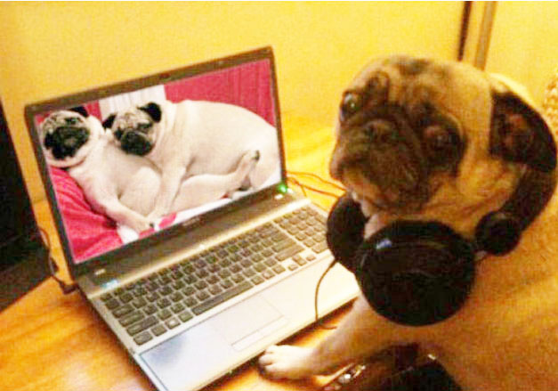 billiejean的个人主页（背景预览） - 主页背景设置 - 站酷设计师billiejean原创素材 - 站酷ZCOOL