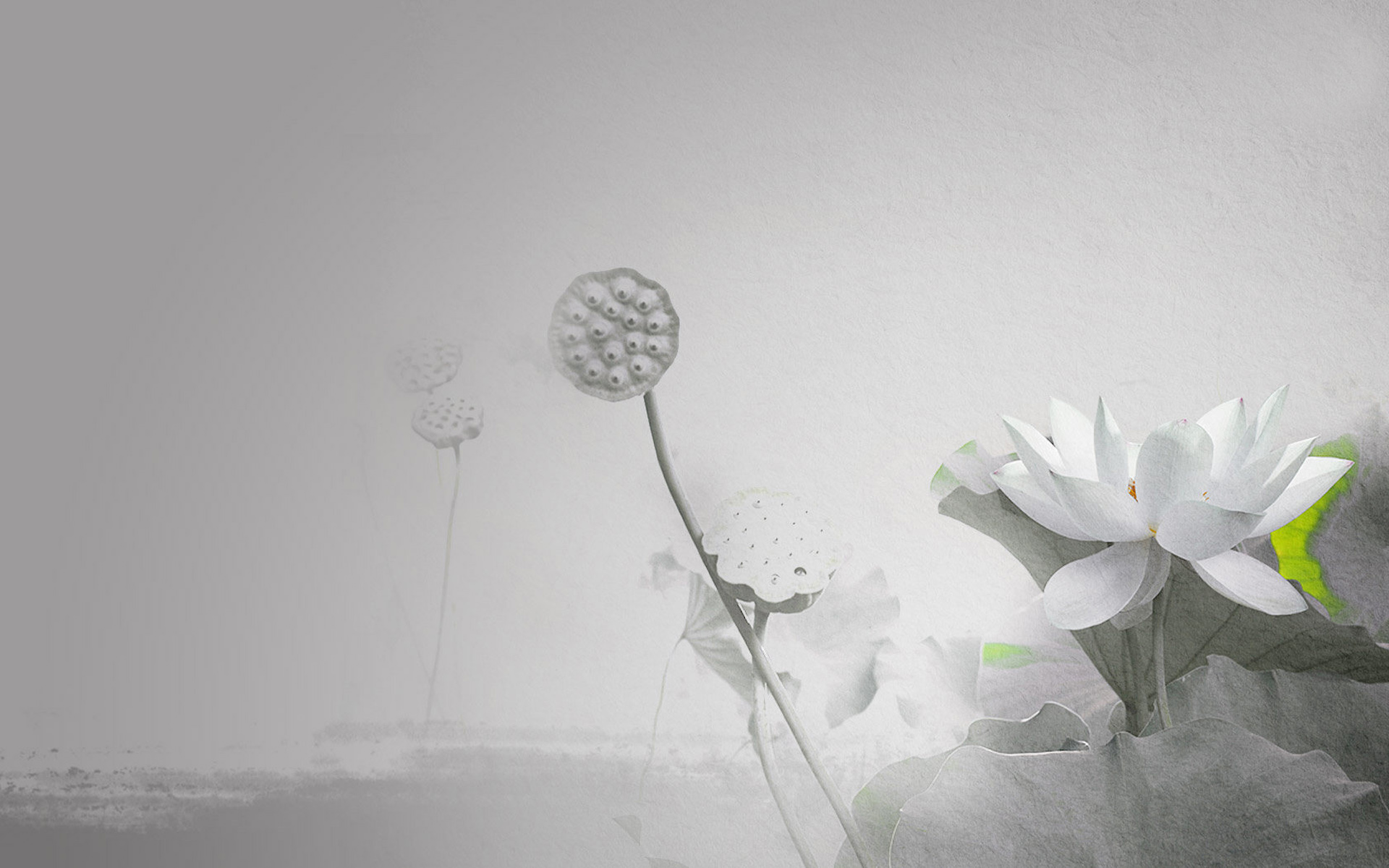 玉匠安闖的個(gè)人主頁(yè)（背景預(yù)覽） - 主頁(yè)背景設(shè)置 - 站酷設(shè)計(jì)師玉匠安闖原創(chuàng)素材 - 站酷ZCOOL