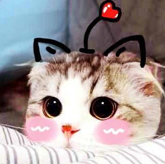 妖妖小精呢的个人主页（背景预览） - 主页背景设置 - 站酷设计师妖妖小精呢原创素材 - 站酷ZCOOL