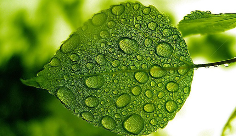 feelsun123的個(gè)人主頁(yè)（背景預(yù)覽） - 主頁(yè)背景設(shè)置 - 站酷設(shè)計(jì)師feelsun123原創(chuàng)素材 - 站酷ZCOOL