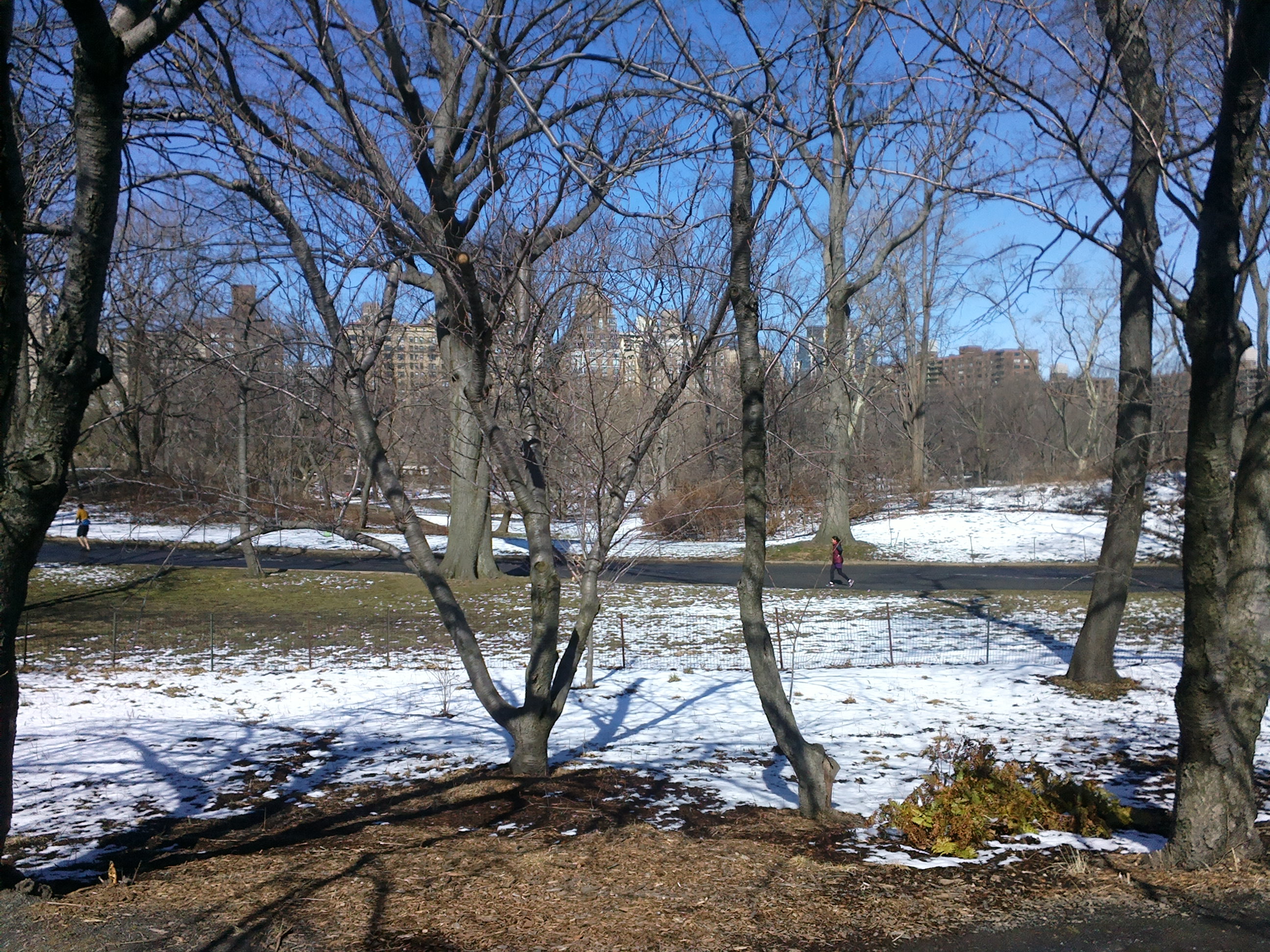 zoe1789的个人主页（背景预览） - 主页背景设置 - 站酷设计师zoe1789原创素材 - 站酷ZCOOL