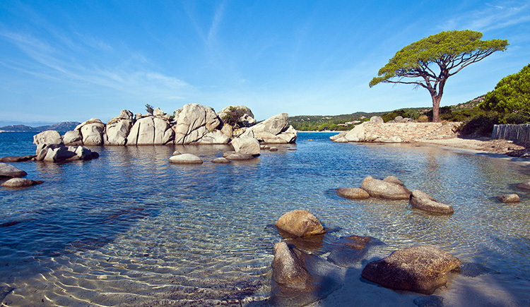 利親廣告設(shè)計的個人主頁（背景預(yù)覽） - 主頁背景設(shè)置 - 站酷設(shè)計師利親廣告設(shè)計原創(chuàng)素材 - 站酷ZCOOL
