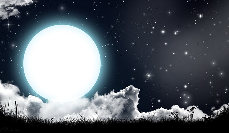 糖白菌的个人主页（背景预览） - 主页背景设置 - 站酷设计师糖白菌原创素材 - 站酷ZCOOL