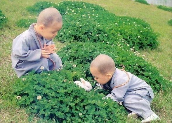 郑州光趣的个人主页（背景预览） - 主页背景设置 - 站酷设计师郑州光趣原创素材 - 站酷ZCOOL