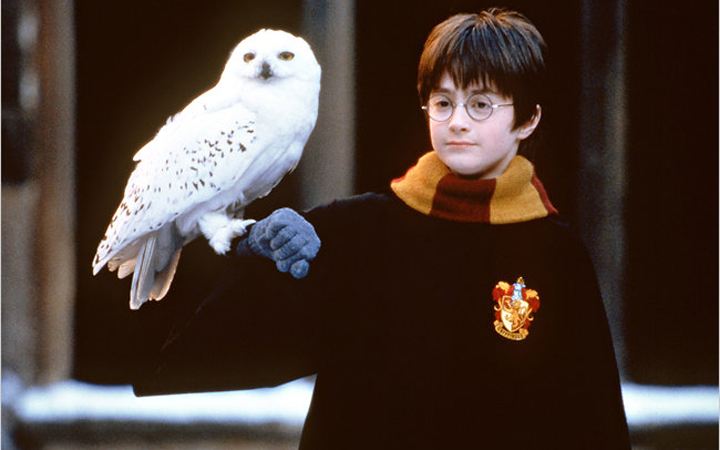 hedwigggg的个人主页（背景预览） - 主页背景设置 - 站酷设计师hedwigggg原创素材 - 站酷ZCOOL