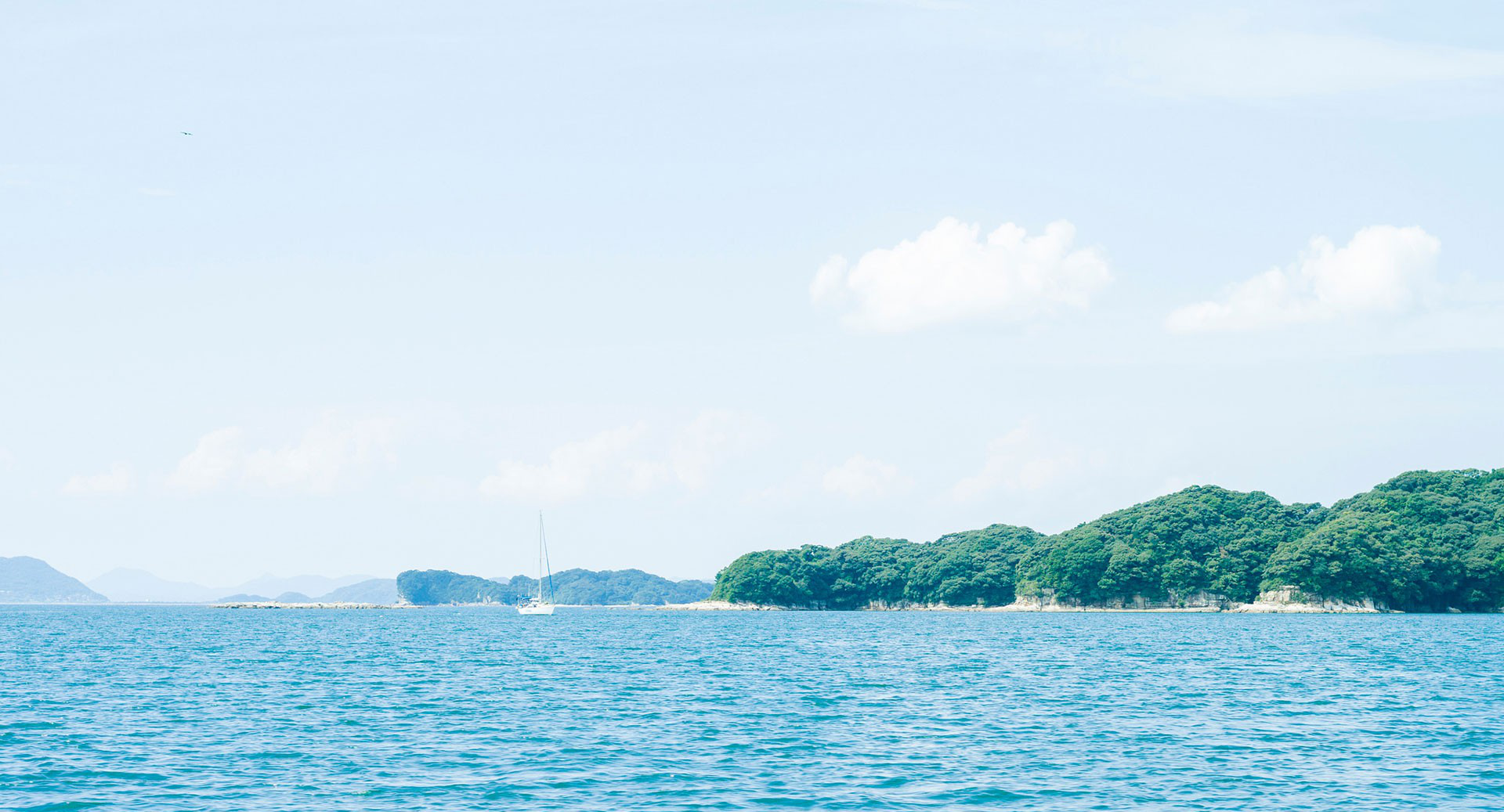 天天醬Titi的個(gè)人主頁（背景預(yù)覽） - 主頁背景設(shè)置 - 站酷設(shè)計(jì)師天天醬Titi原創(chuàng)素材 - 站酷ZCOOL