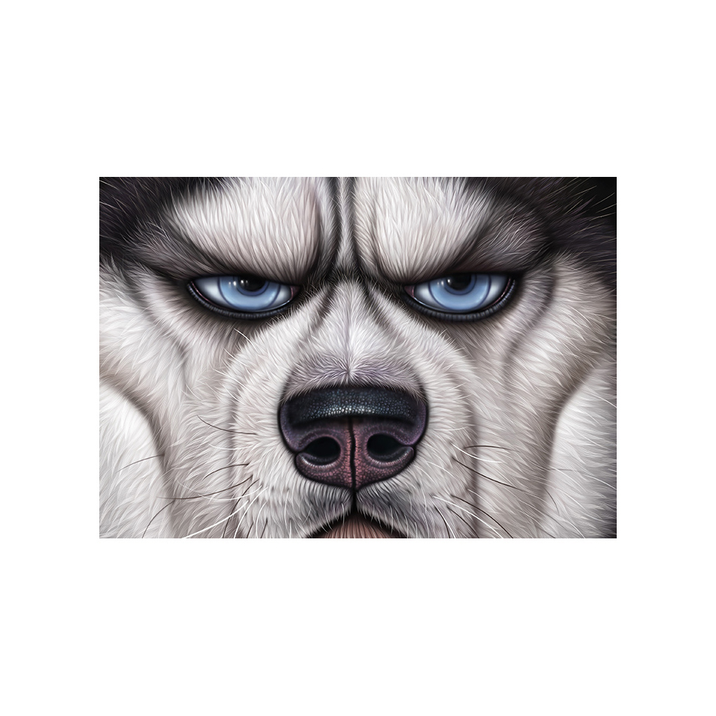 从容多一点的个人主页（背景预览） - 主页背景设置 - 站酷设计师从容多一点原创素材 - 站酷ZCOOL