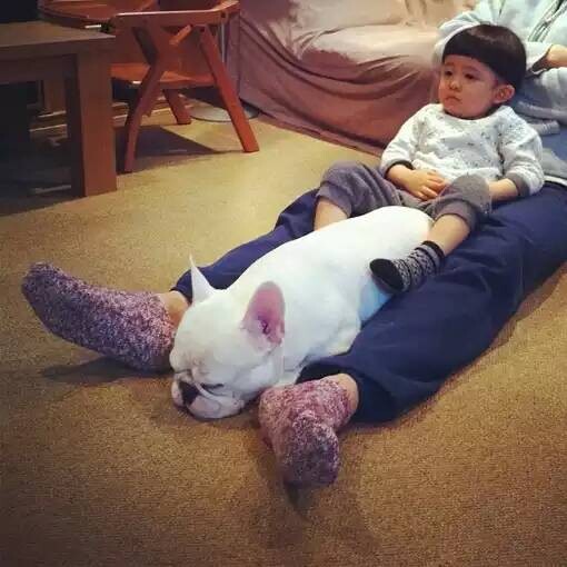 赴局的个人主页（背景预览） - 主页背景设置 - 站酷设计师赴局原创素材 - 站酷ZCOOL