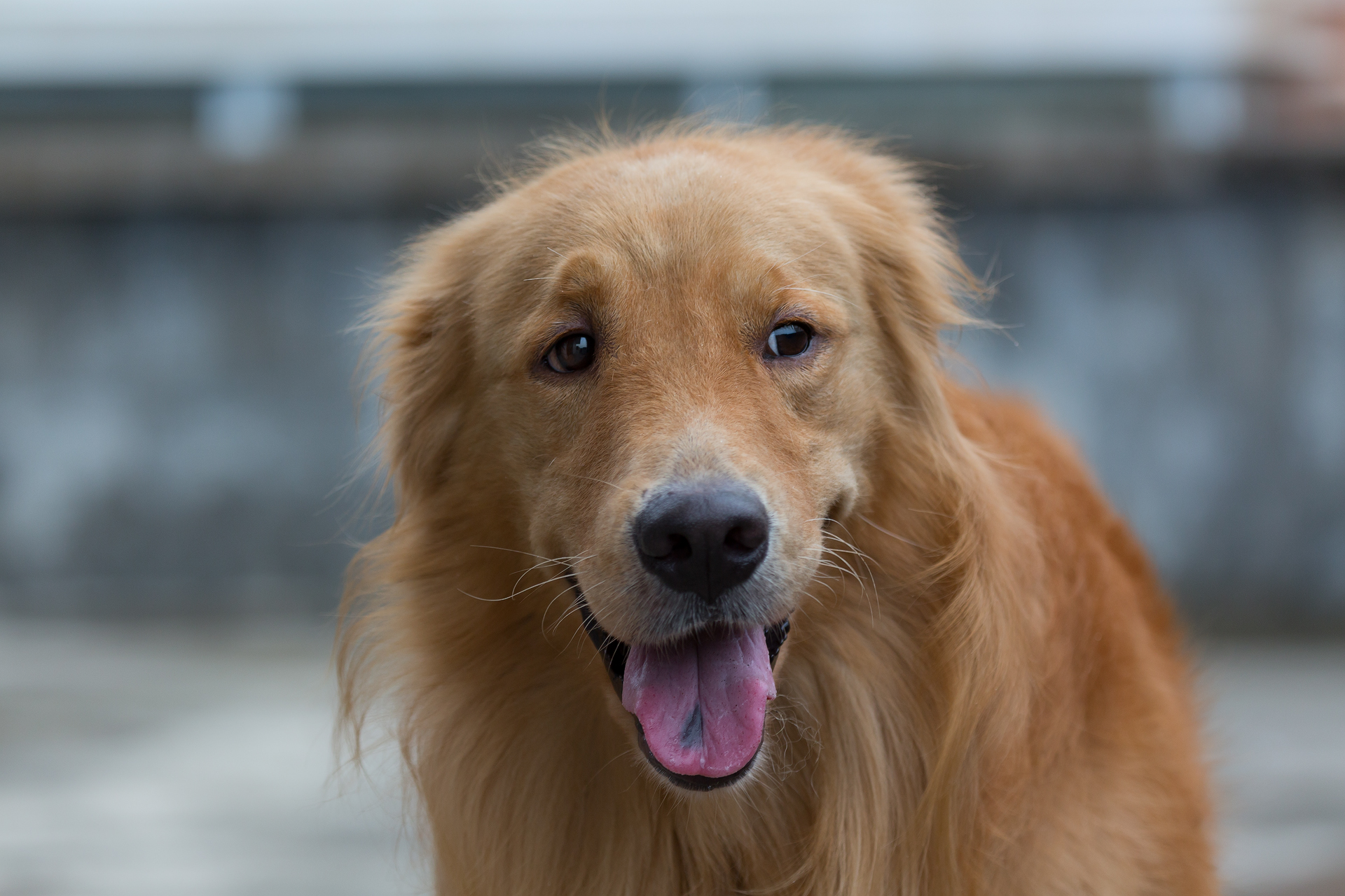 最后的九號(hào)的個(gè)人主頁（背景預(yù)覽） - 主頁背景設(shè)置 - 站酷設(shè)計(jì)師最后的九號(hào)原創(chuàng)素材 - 站酷ZCOOL