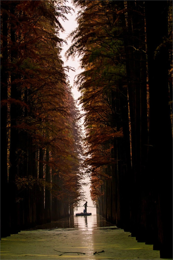 随风Jenny的个人主页（背景预览） - 主页背景设置 - 站酷设计师随风Jenny原创素材 - 站酷ZCOOL