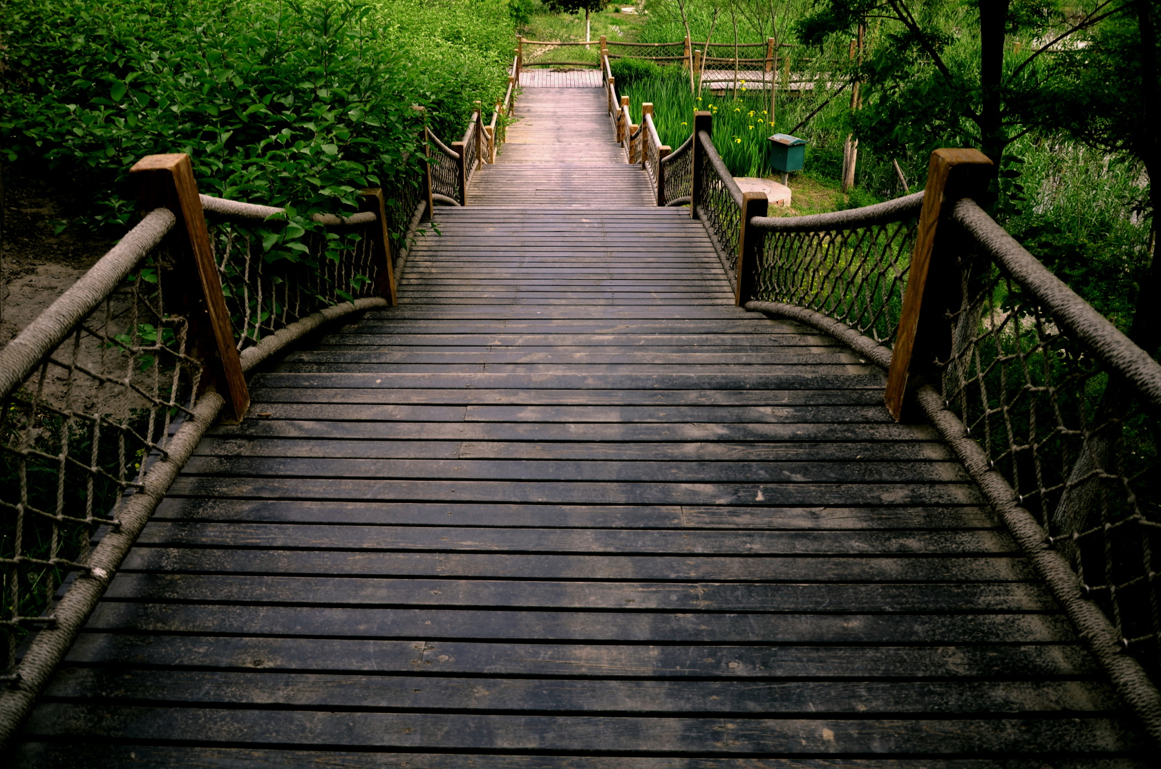 香草可乐的个人主页（背景预览） - 主页背景设置 - 站酷设计师香草可乐原创素材 - 站酷ZCOOL