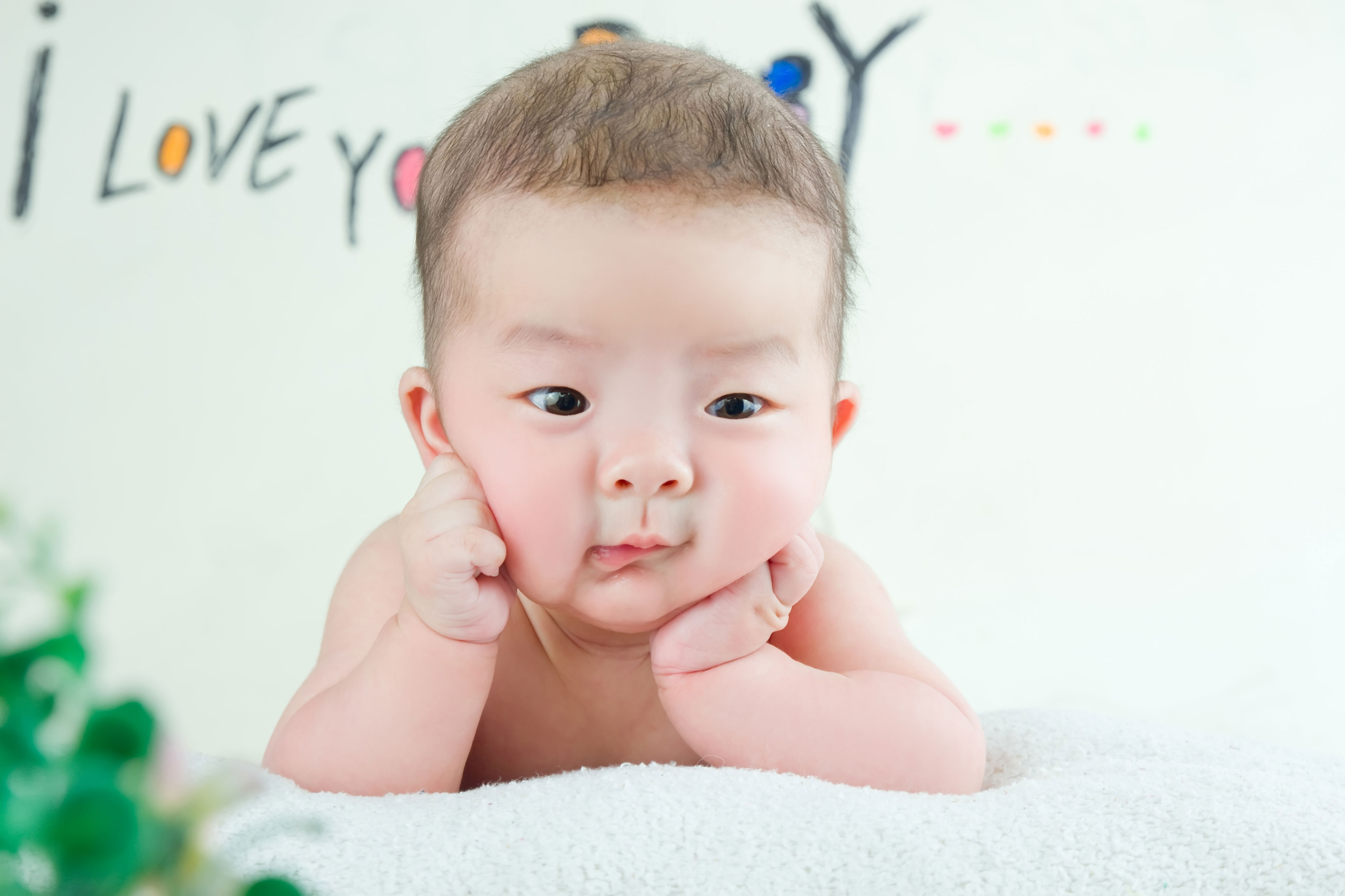 guiqing的个人主页（背景预览） - 主页背景设置 - 站酷设计师guiqing原创素材 - 站酷ZCOOL