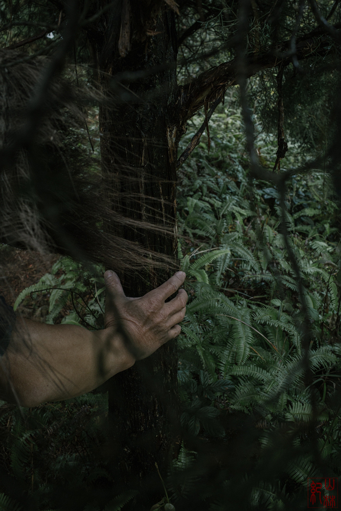 茶初的個人主頁（背景預(yù)覽） - 主頁背景設(shè)置 - 站酷設(shè)計師茶初原創(chuàng)素材 - 站酷ZCOOL