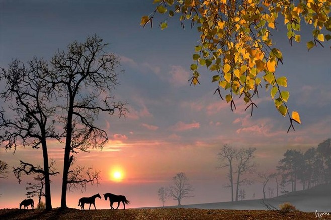 dwg777的个人主页（背景预览） - 主页背景设置 - 站酷设计师dwg777原创素材 - 站酷ZCOOL