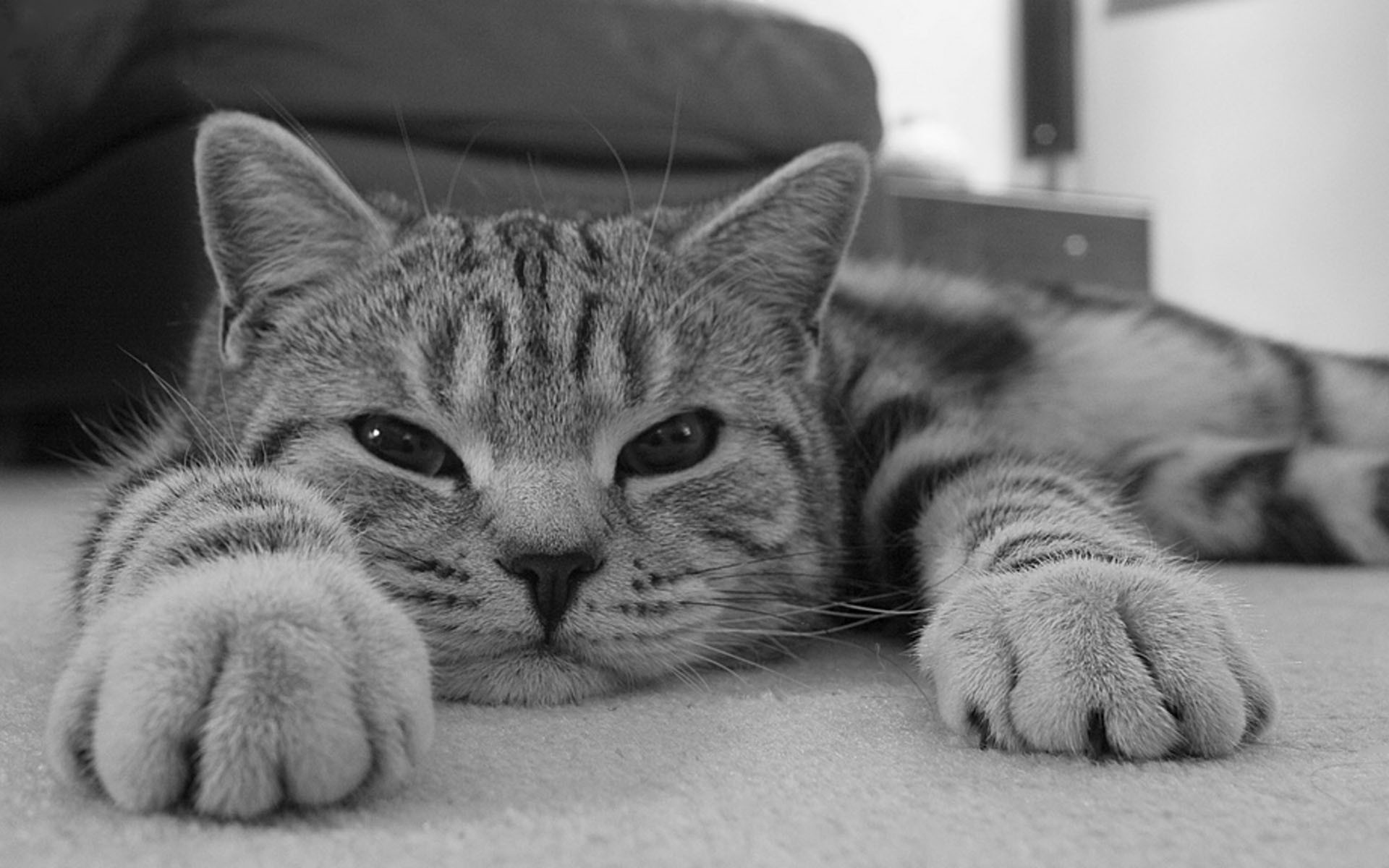 aquarius_w的收藏夹 - 站酷 (zcool)