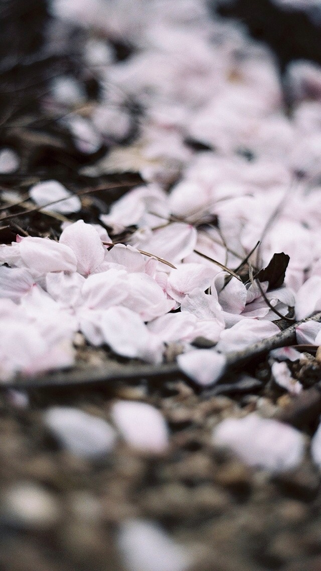 pansyfun的個人主頁（背景預覽） - 主頁背景設置 - 站酷設計師pansyfun原創(chuàng)素材 - 站酷ZCOOL