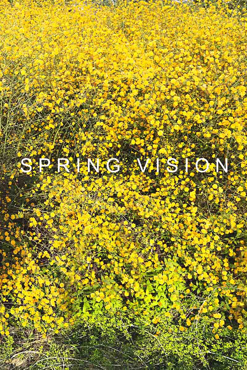 偉大的攝影師的個(gè)人主頁(yè)（背景預(yù)覽） - 主頁(yè)背景設(shè)置 - 站酷設(shè)計(jì)師偉大的攝影師原創(chuàng)素材 - 站酷ZCOOL