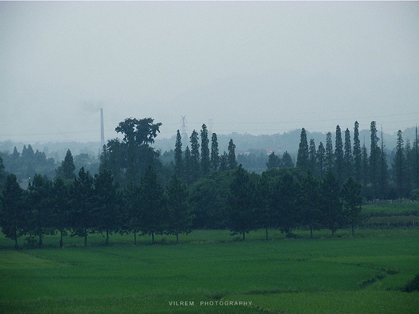 不吃鱼的咸鱼的个人主页（背景预览） - 主页背景设置 - 站酷设计师不吃鱼的咸鱼原创素材 - 站酷ZCOOL