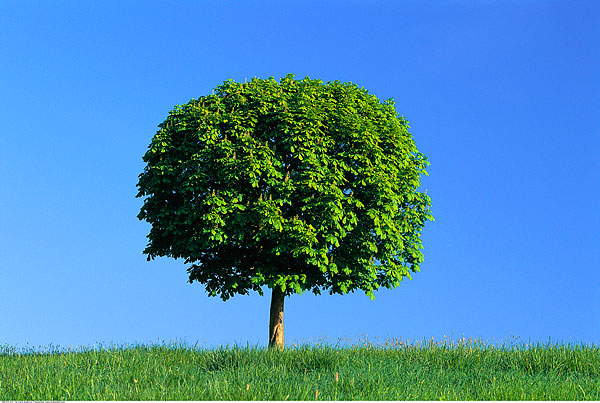 莎莎UI設計師的個人主頁（背景預覽） - 主頁背景設置 - 站酷設計師莎莎UI設計師原創(chuàng)素材 - 站酷ZCOOL