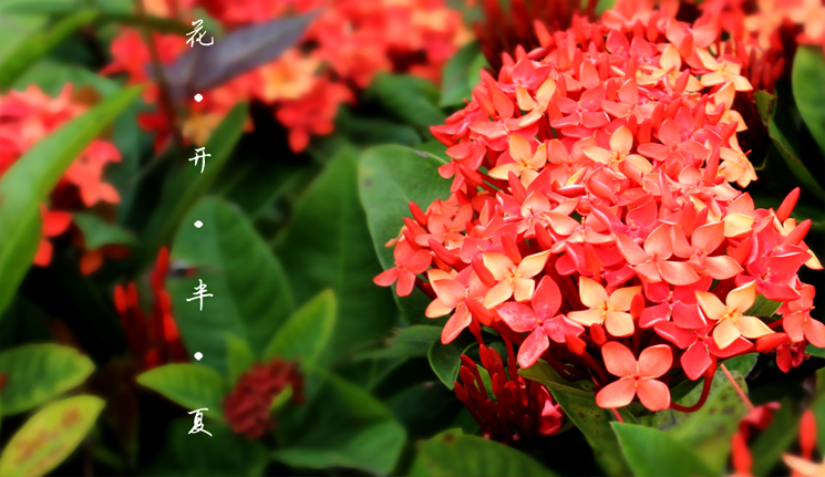 海乐儿的鱼的个人主页（背景预览） - 主页背景设置 - 站酷设计师海乐儿的鱼原创素材 - 站酷ZCOOL