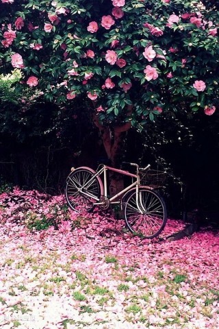 叉叉的勾勾的个人主页（背景预览） - 主页背景设置 - 站酷设计师叉叉的勾勾原创素材 - 站酷ZCOOL