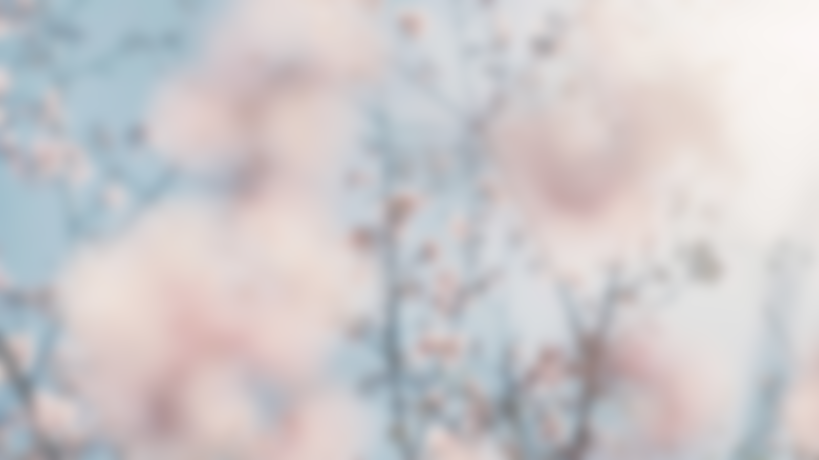 小铃铛blingbling的个人主页（背景预览） - 主页背景设置 - 站酷设计师小铃铛blingbling原创素材 - 站酷ZCOOL