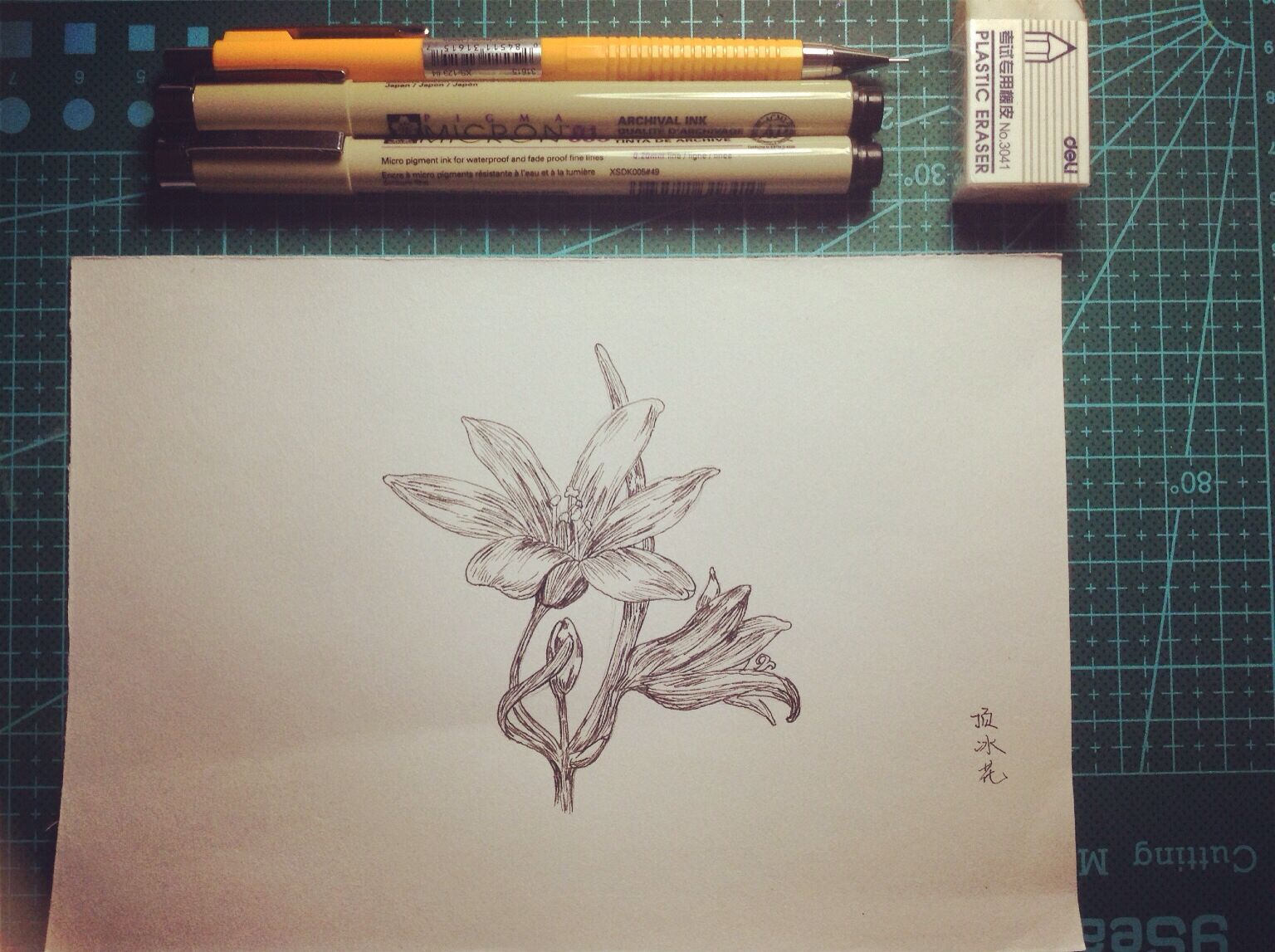 猫猫守望者的个人主页（背景预览） - 主页背景设置 - 站酷设计师猫猫守望者原创素材 - 站酷ZCOOL