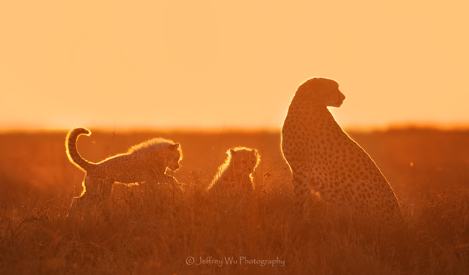 【三石】的個(gè)人主頁（背景預(yù)覽） - 主頁背景設(shè)置 - 站酷設(shè)計(jì)師【三石】原創(chuàng)素材 - 站酷ZCOOL