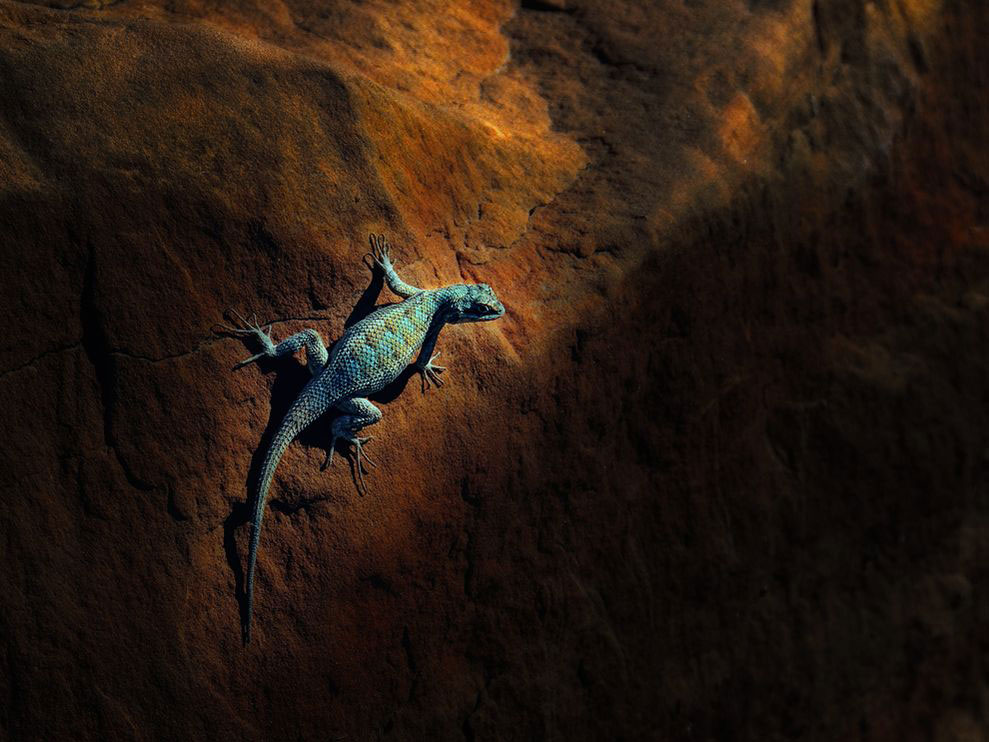 pite_li的個人主頁（背景預(yù)覽） - 主頁背景設(shè)置 - 站酷設(shè)計師pite_li原創(chuàng)素材 - 站酷ZCOOL