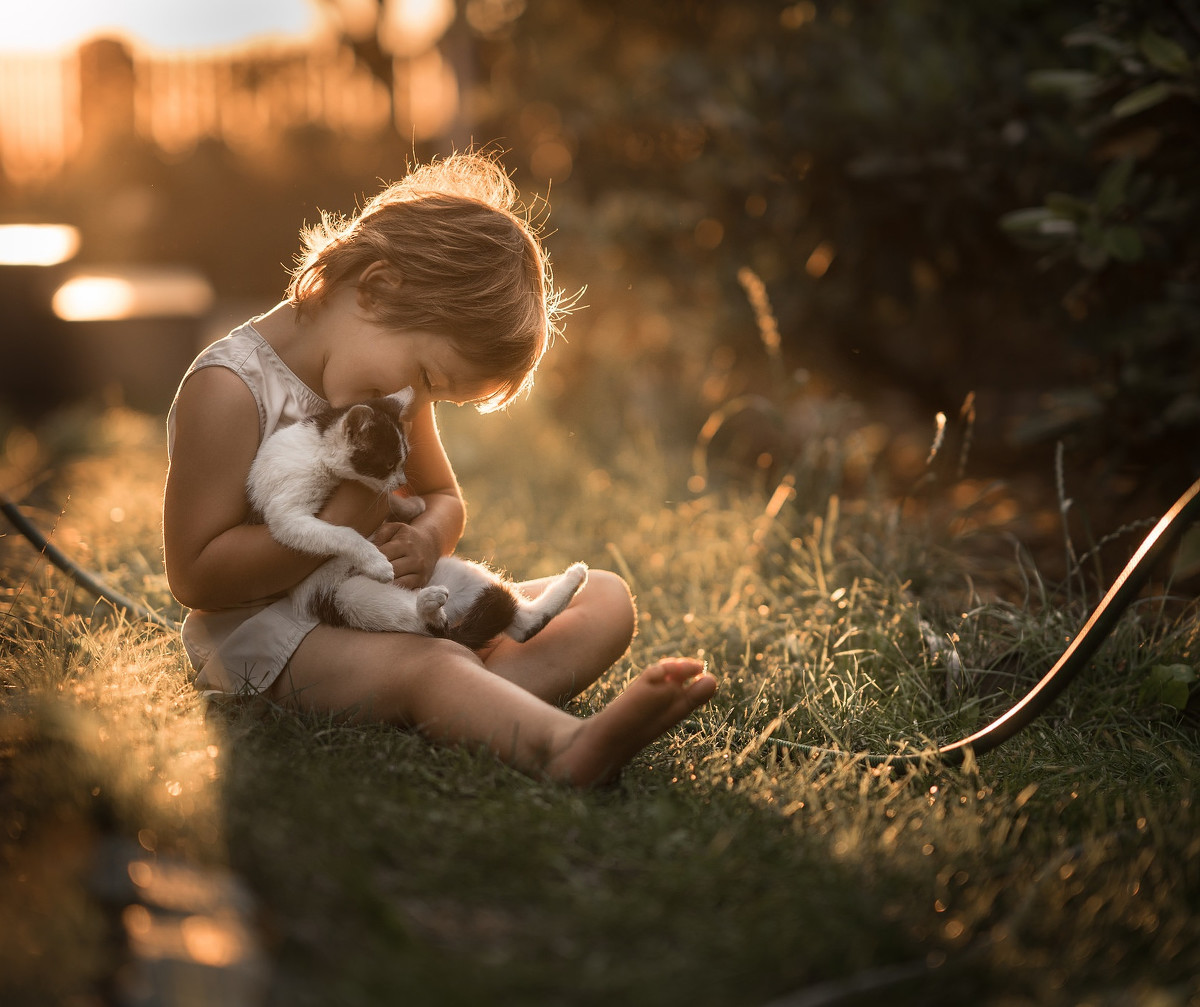 wowwooww的個(gè)人主頁（背景預(yù)覽） - 主頁背景設(shè)置 - 站酷設(shè)計(jì)師wowwooww原創(chuàng)素材 - 站酷ZCOOL