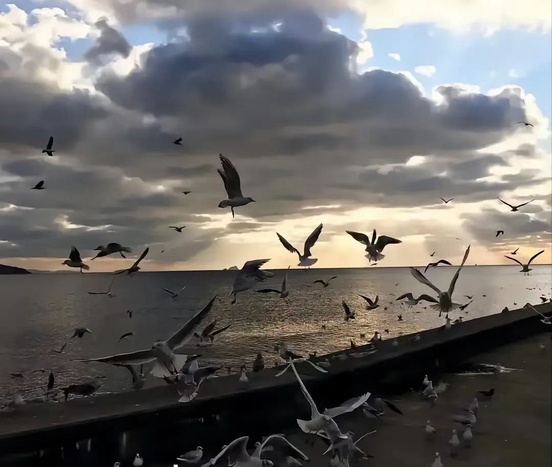 苏艺青的个人主页（背景预览） - 主页背景设置 - 站酷设计师苏艺青原创素材 - 站酷ZCOOL