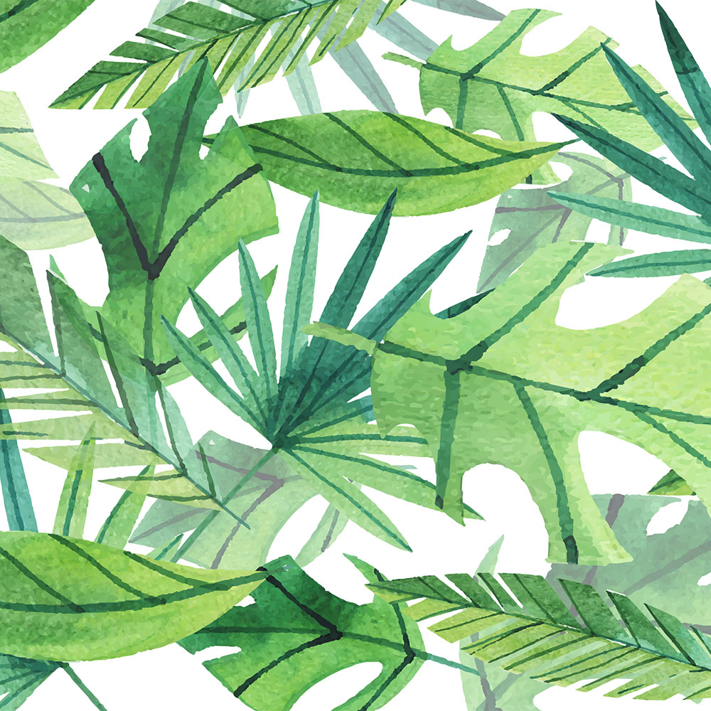 誩誩的個(gè)人主頁（背景預(yù)覽） - 主頁背景設(shè)置 - 站酷設(shè)計(jì)師誩誩原創(chuàng)素材 - 站酷ZCOOL