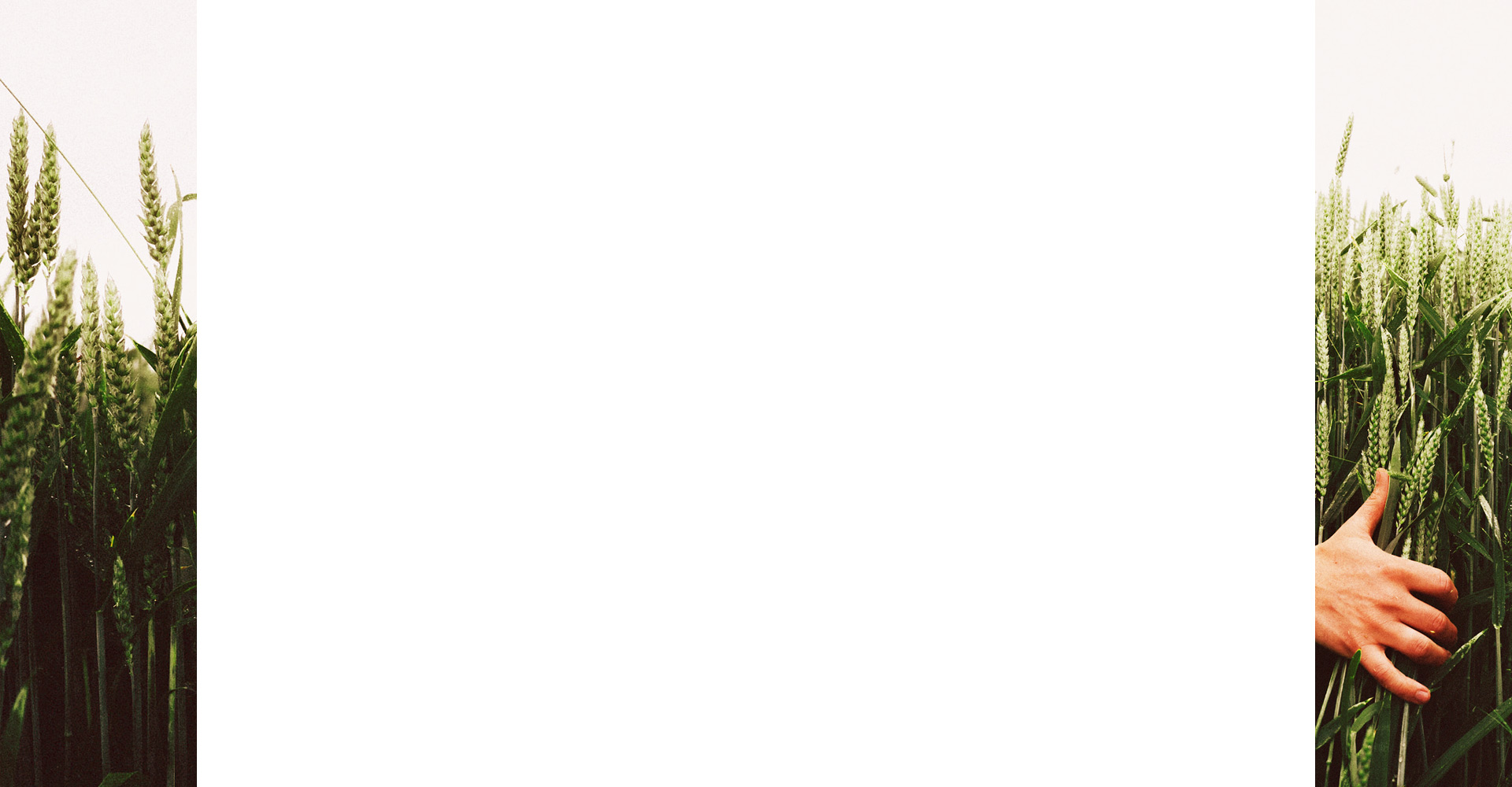 Byemy_8的个人主页（背景预览） - 主页背景设置 - 站酷设计师Byemy_8原创素材 - 站酷ZCOOL