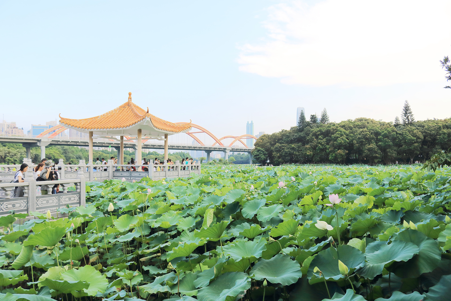 IFlot的个人主页（背景预览） - 主页背景设置 - 站酷设计师IFlot原创素材 - 站酷ZCOOL